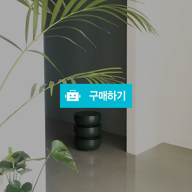 쿠엔코스툴 / 이정현917님의 스토어 / 디비디비 / 구매하기 / 특가할인