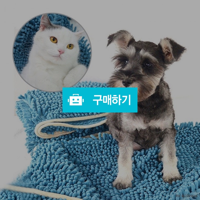 애견애묘 전용타월 샤워타월 목욕타올 / 댕유마켓님의 스토어 / 디비디비 / 구매하기 / 특가할인