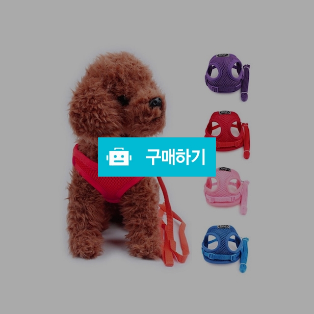 강아지 하네스 / 마이독님의 스토어 / 디비디비 / 구매하기 / 특가할인