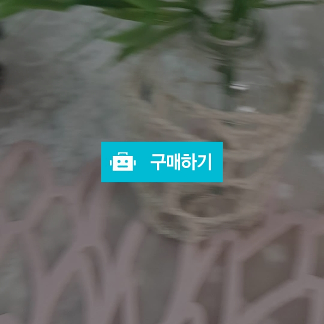 화병 / 큐빅짱님의 보물창고 / 디비디비 / 구매하기 / 특가할인