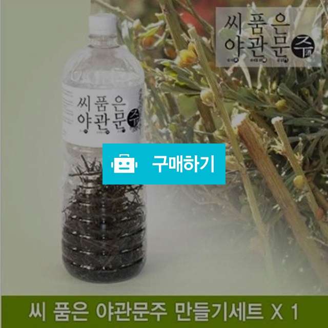씨품은 야관문주 만들기세트 / 힐링룸(Healing Room) / 디비디비 / 구매하기 / 특가할인