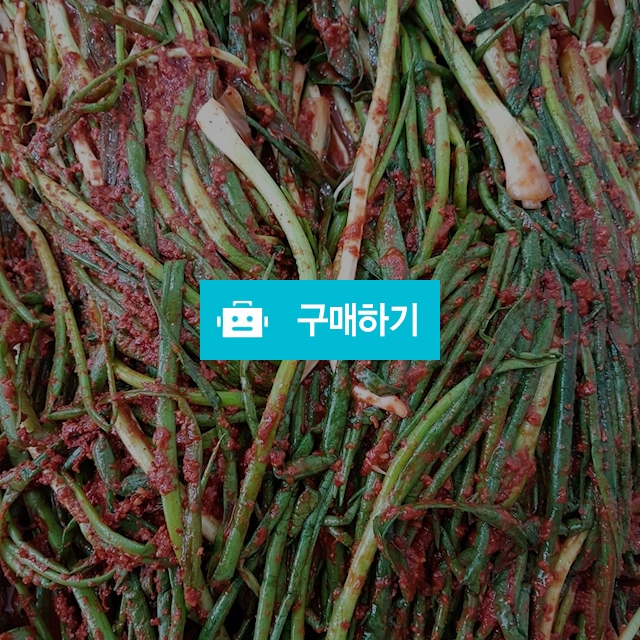 파김치 / love1203 / 디비디비 / 구매하기 / 특가할인