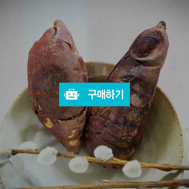 조재윤의 아이스 치즈 군 고구마 130g / 베스트온 고객만족 구독특가 / 디비디비 / 구매하기 / 특가할인