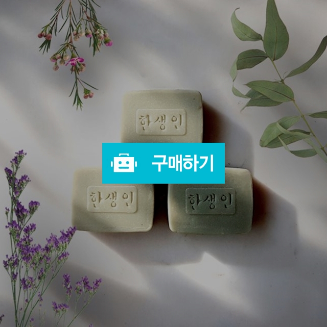 두피비누 / 한생인님의 스토어 / 디비디비 / 구매하기 / 특가할인