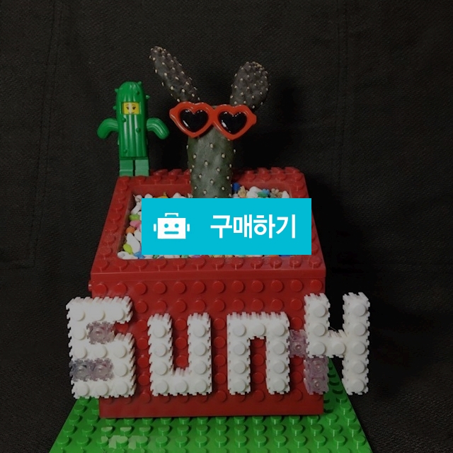 [써니]블록화분+만세선인장+선인장피규어 / 블록월드님의 스토어 / 디비디비 / 구매하기 / 특가할인