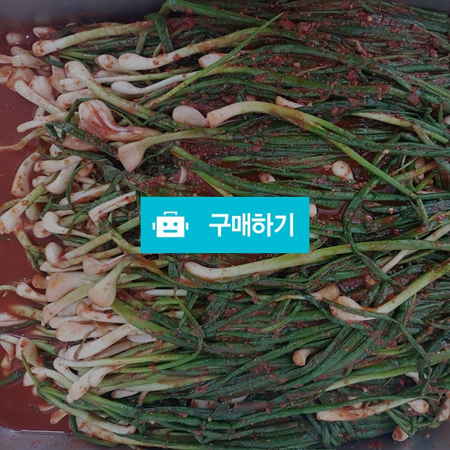 파김치 / love1203 / 디비디비 / 구매하기 / 특가할인