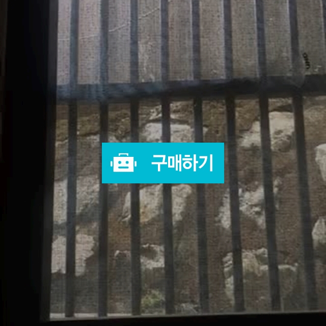 허러 / 완전 편리의 스토어 / 디비디비 / 구매하기 / 특가할인
