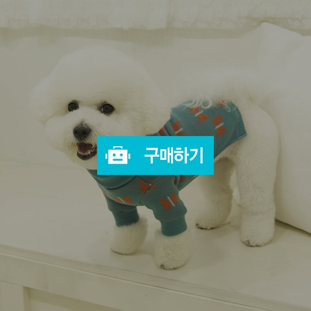 플라이 터틀넥 강아지 니트 _ 민트 / 퍼피온님의 스토어 / 디비디비 / 구매하기 / 특가할인