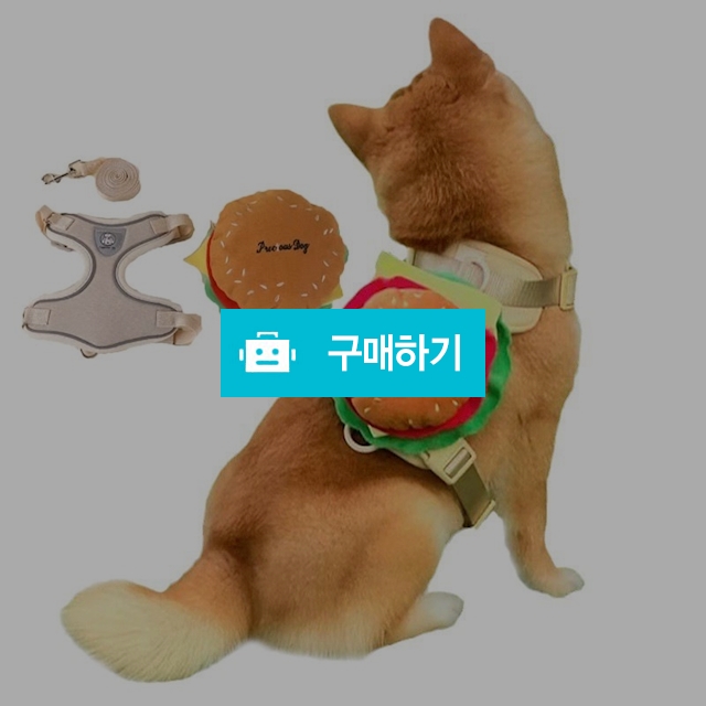 냥슬아치 강아지 햄버거 하네스 가슴줄 리드줄 애견 세트 / 냥슬아치님의 스토어 / 디비디비 / 구매하기 / 특가할인