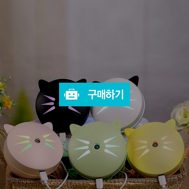 프랜디 미니캣USB가습기/무드등/저소음/탁상용/차량용 / 우리STM님의 스토어 / 디비디비 / 구매하기 / 특가할인