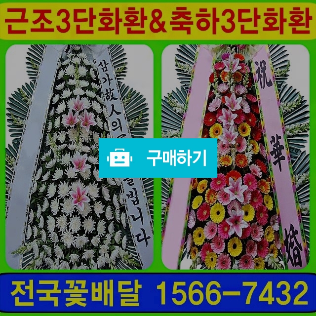 장례화환 전국꽃배달 / 070플라워님의 스토어 / 디비디비 / 구매하기 / 특가할인