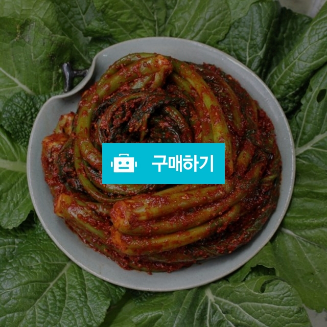 종말이푸드 여수돌산 갓김치 1kg/묵은지갓김치 1kg 종말이김치 / Samaison님의 스토어 / 디비디비 / 구매하기 / 특가할인