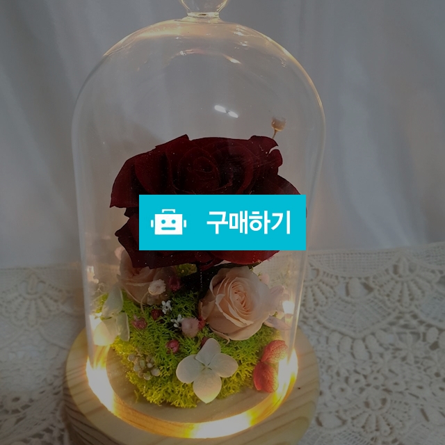 프리저브드 유리돔 / 설진이님의 스토어 / 디비디비 / 구매하기 / 특가할인