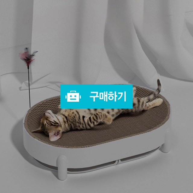 냥슬아치 고양이 와이드 원형 쇼파 장난감 스크래쳐 올인원 / 냥슬아치님의 스토어 / 디비디비 / 구매하기 / 특가할인