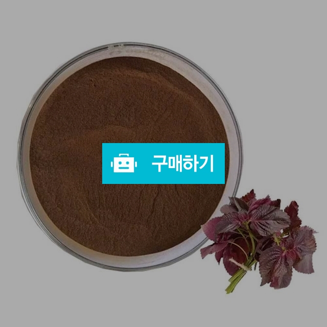 차즈기추출분말 1kg / 엔트레이드코리아님의 스토어 / 디비디비 / 구매하기 / 특가할인