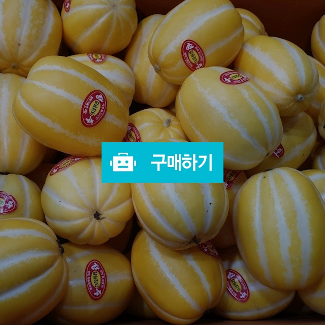 10k 성주 꿀 참외 31~34수 랜덤배송 *무료배송* / 경인농산님의 스토어 / 디비디비 / 구매하기 / 특가할인
