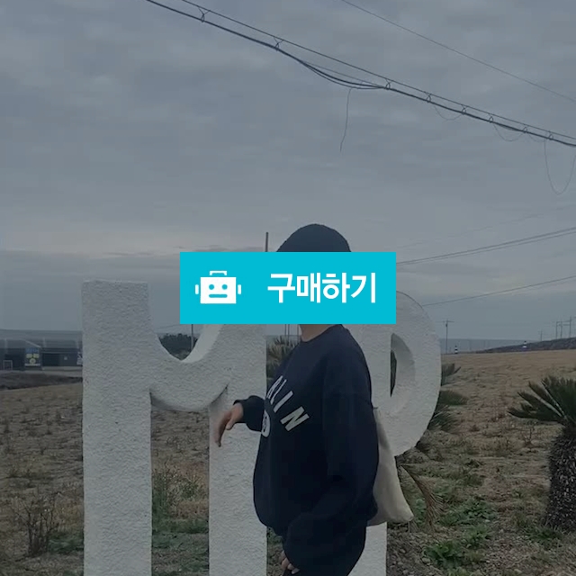 도도해닷컴 레터링 맨투맨 티셔츠 Berlin 오버핏 기모 / 도도해닷컴 / 디비디비 / 구매하기 / 특가할인