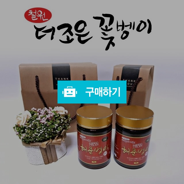 [더조은굼벵이] [발효분말] 청정지역 철원 굼벵이를 명품발효시킨 허준벵이 분말 200g (100g×2통) / 더조은굼벵이님의 스토어 / 디비디비 / 구매하기 / 특가할인