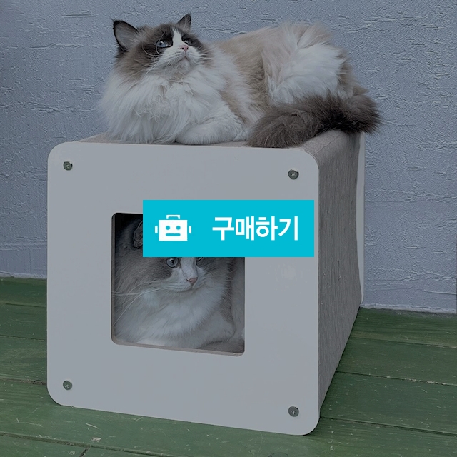 야오미 이코노믹 큐브 숨숨집 스크래쳐 (미디엄) (냥이 몸무게6kg까지) / 코고는 고양이 / 디비디비 / 구매하기 / 특가할인