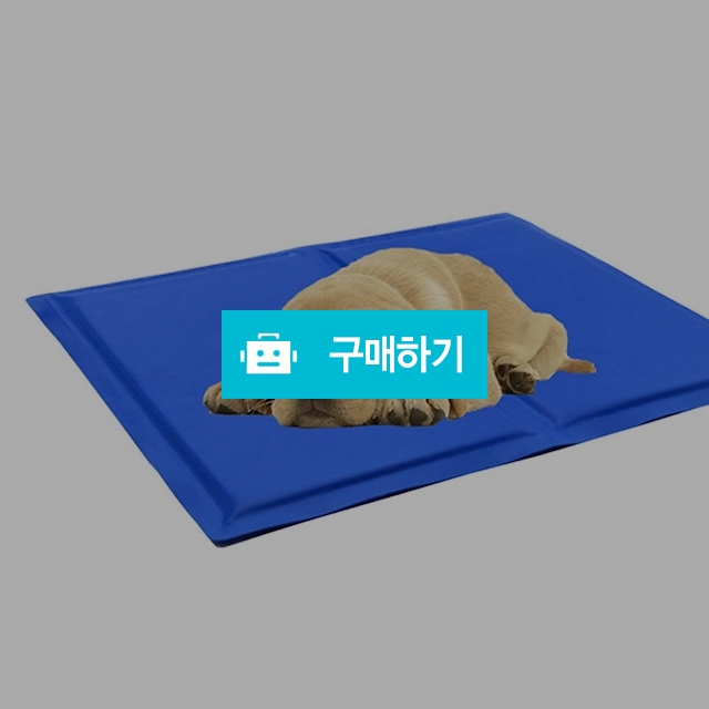 강아지 고양이 쿨매트 쿨링매트 애견쿨방석 / 마이독님의 스토어 / 디비디비 / 구매하기 / 특가할인