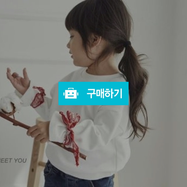 페이즐리 맨투맨[티바] / 이덕성님의 스토어 / 디비디비 / 구매하기 / 특가할인