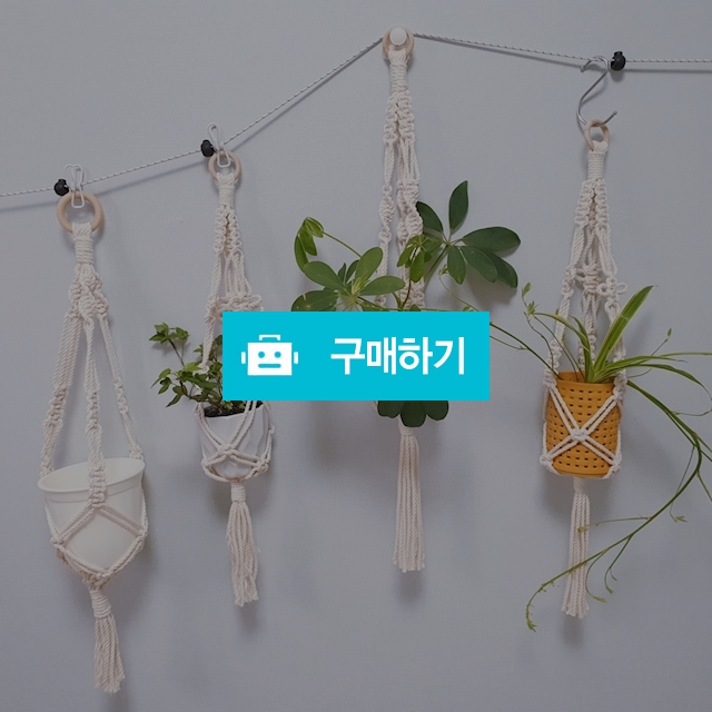 플렌테리어 플랜트행잉 마크라메 / 노을빛 / 디비디비 / 구매하기 / 특가할인