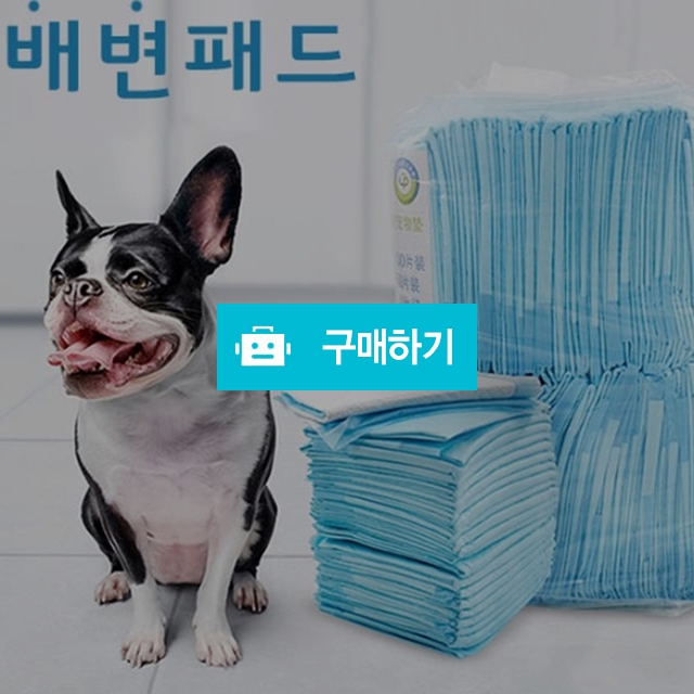 ok 5중 구조 빠른 흡수력 배변패드 반려견패드 40매 100매  / 알리바바 / 디비디비 / 구매하기 / 특가할인