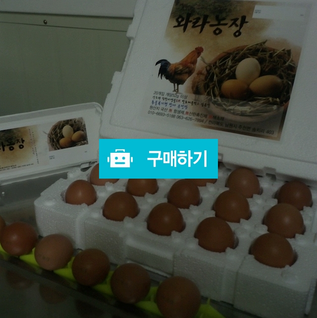 동물복지 유정란 / 송승현님의 스토어 / 디비디비 / 구매하기 / 특가할인