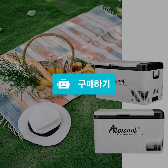 알피쿨 캠핑 차량용 냉장고 야외용 냉동고 휴대 여행 낚시용 자동차 카 차박 쿨러 25L / 다모아아토즈님의 스토어 / 디비디비 / 구매하기 / 특가할인