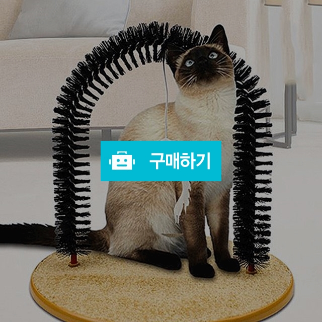 고양이장난감 고양이빗 스크래쳐 거치대 놀이 토이 훈련 교육 야옹이 털갈이 빗질 / 댕유마켓님의 스토어 / 디비디비 / 구매하기 / 특가할인