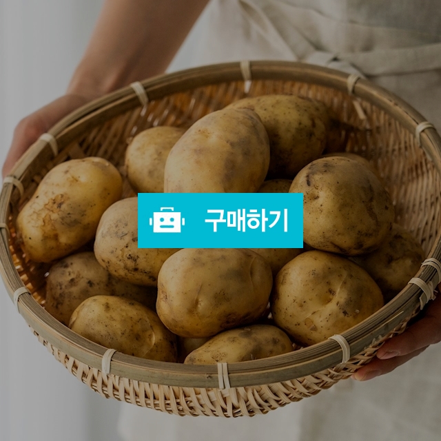 갓 수확한 포슬포슬 맛있는 햇감자  / 바른과일님의 스토어 / 디비디비 / 구매하기 / 특가할인