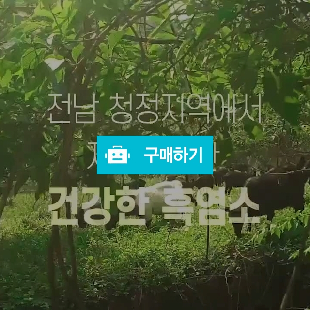 흑염소진액 흑염소즙 무항생제 흑염소엑기스 / 노랑갈매기 / 디비디비 / 구매하기 / 특가할인