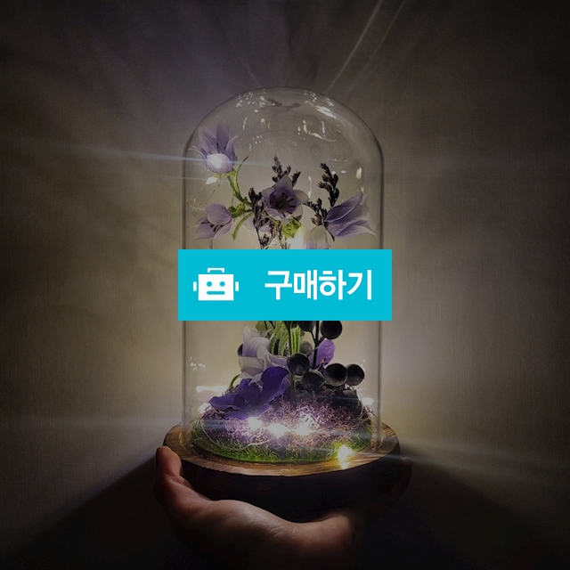 [페어리테일 무드등] 바이올렛 보라 꽃 꽃선물 무료배송 / 인생꽃같다 / 디비디비 / 구매하기 / 특가할인